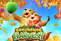 Groundhog Harvest